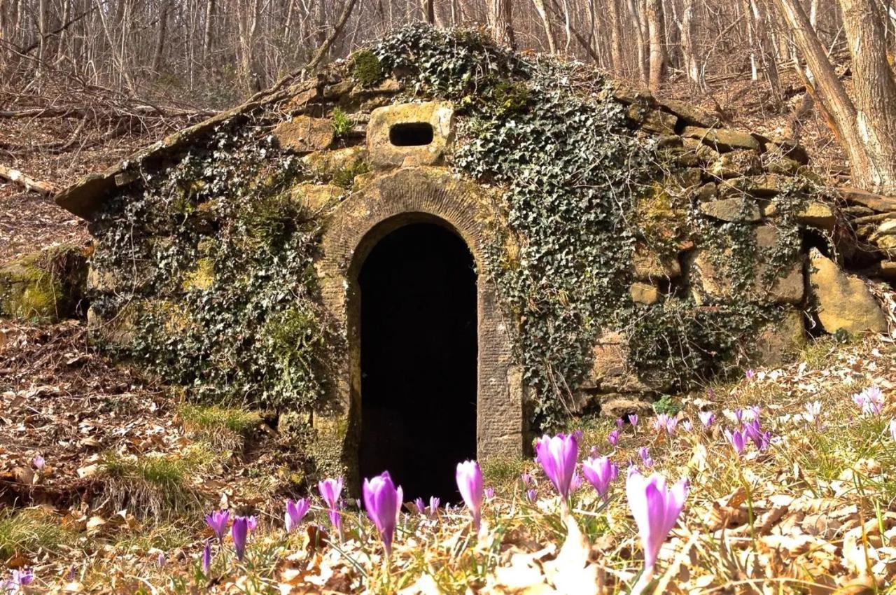 La Casa Di Lili * Pontassieve